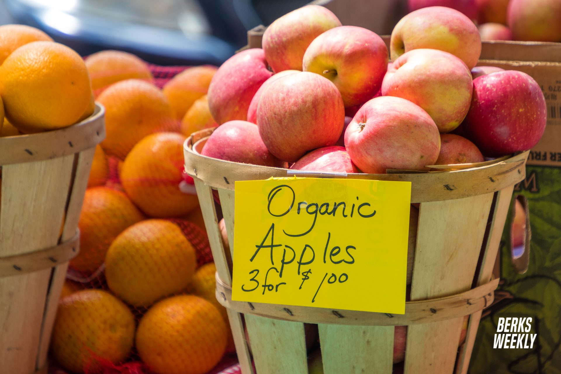 Penn Street Market Returns to Downtown Reading with a few Changes