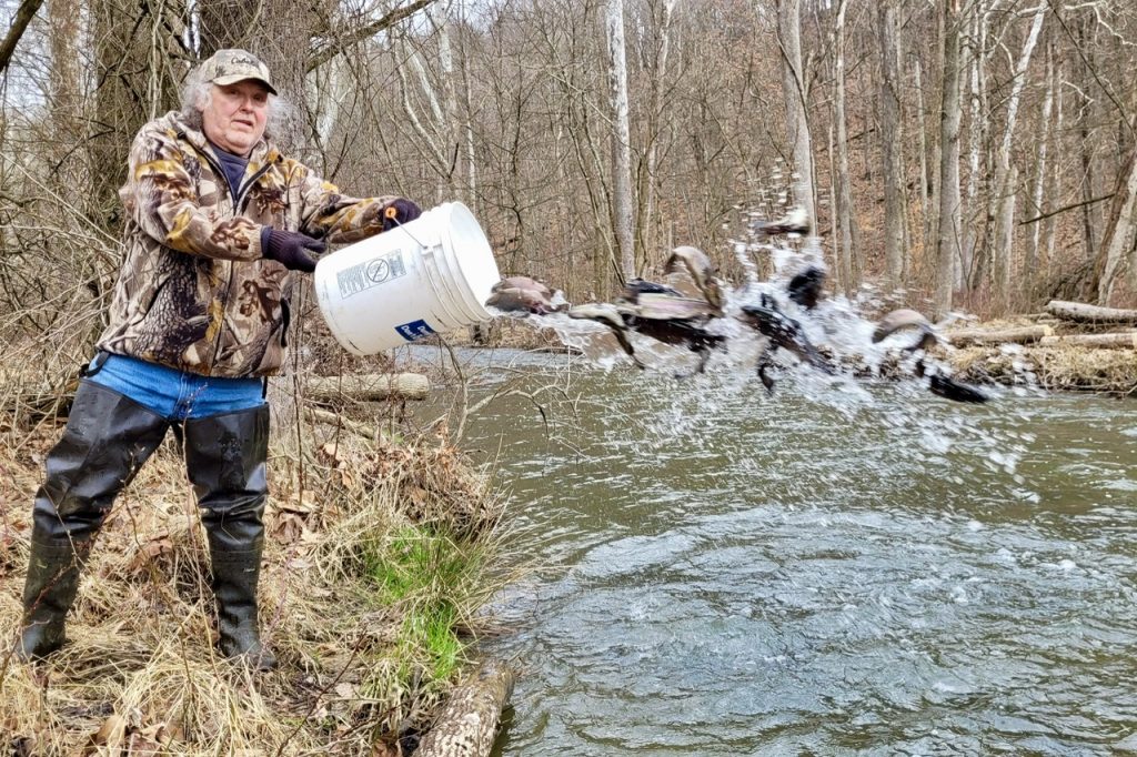 PA Fish and Boat continues pre-season trout stocking in hundreds of