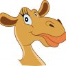 Sponsored by The Camel Project