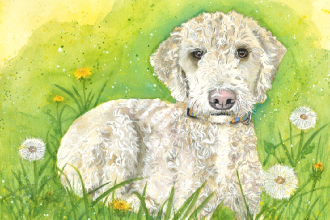 River: 1st place winning portrait done by Artist JP Gaskill